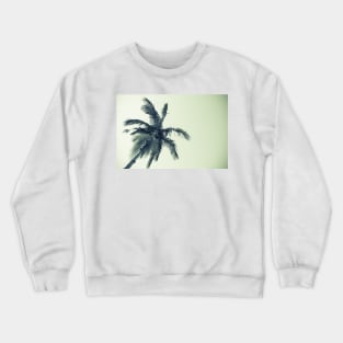 Palm tree against sky low angle point of view monochrome faded image. Crewneck Sweatshirt